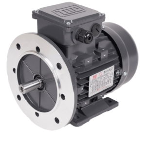 foot and flange mounted electric motor in black