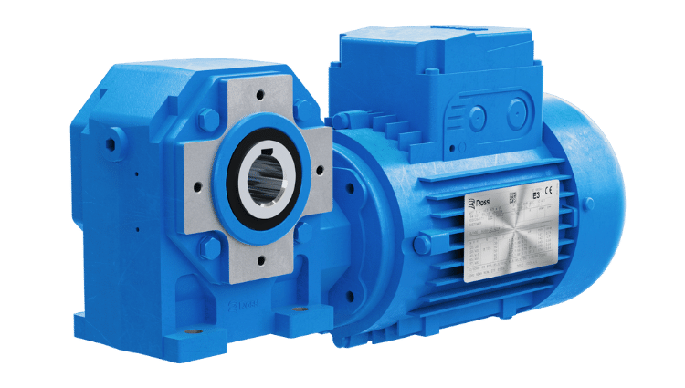 Rossi AS Series-Worm-Gear-Motors