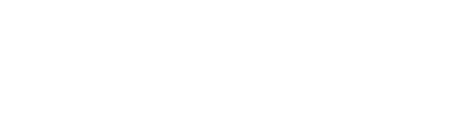 Flender-Logo-White